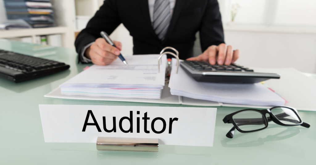 What Is The Role And Function Of Auditor General