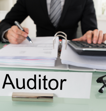 Role and responsibilities of an auditors