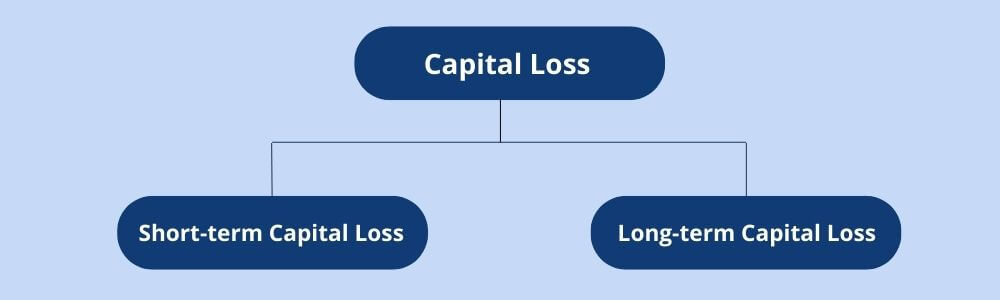 capital loss categories